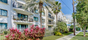 balconies and greenery, palm trees